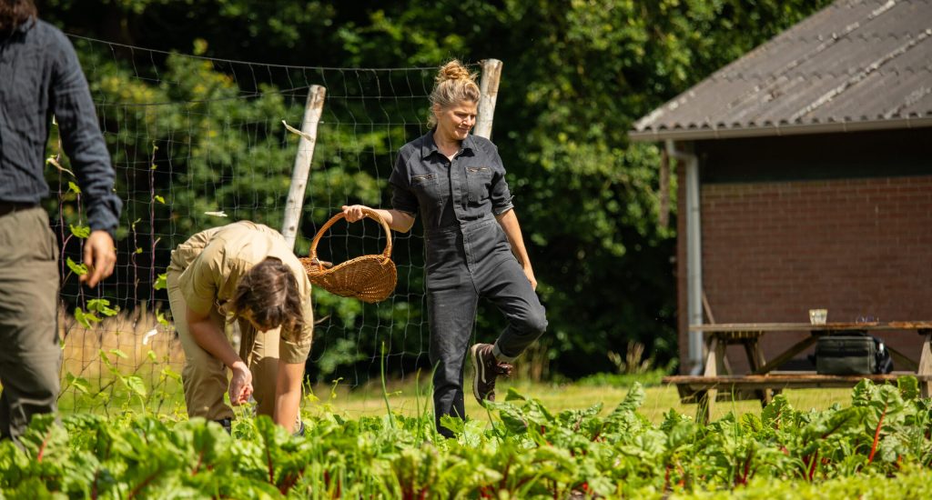 Logeren in een voedselbos, dat kan bij Lenteland boerderij ‘t Gagel in Lochem