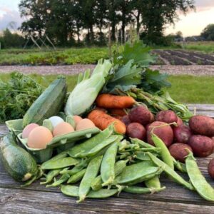groenteabonnement met eieren aan huis 2026