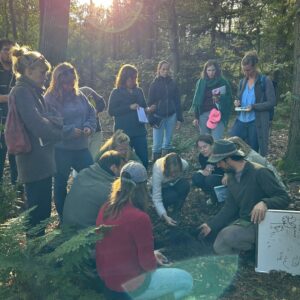 10-daagse Long course 'How to start a regenerative farm?'