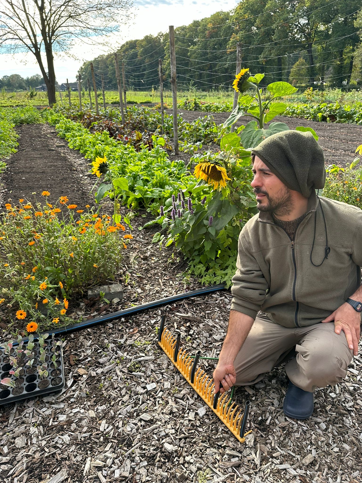 FARM Open call