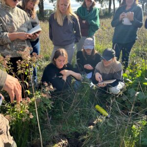 10-daagse long course 'How to start a regenerative farm?' - van 26 september t/m 29 november