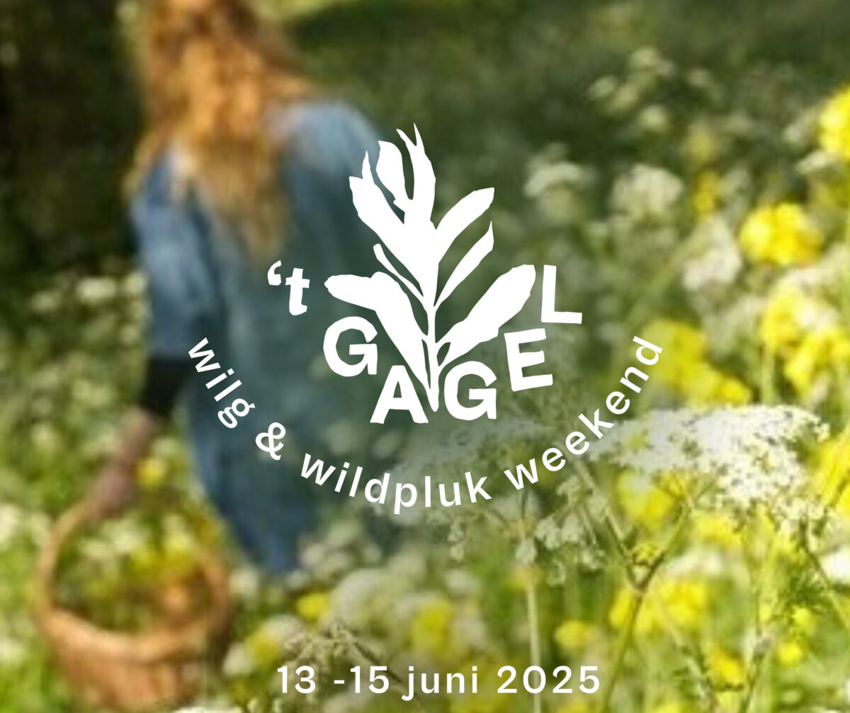 Wilg & wildpluk weekend