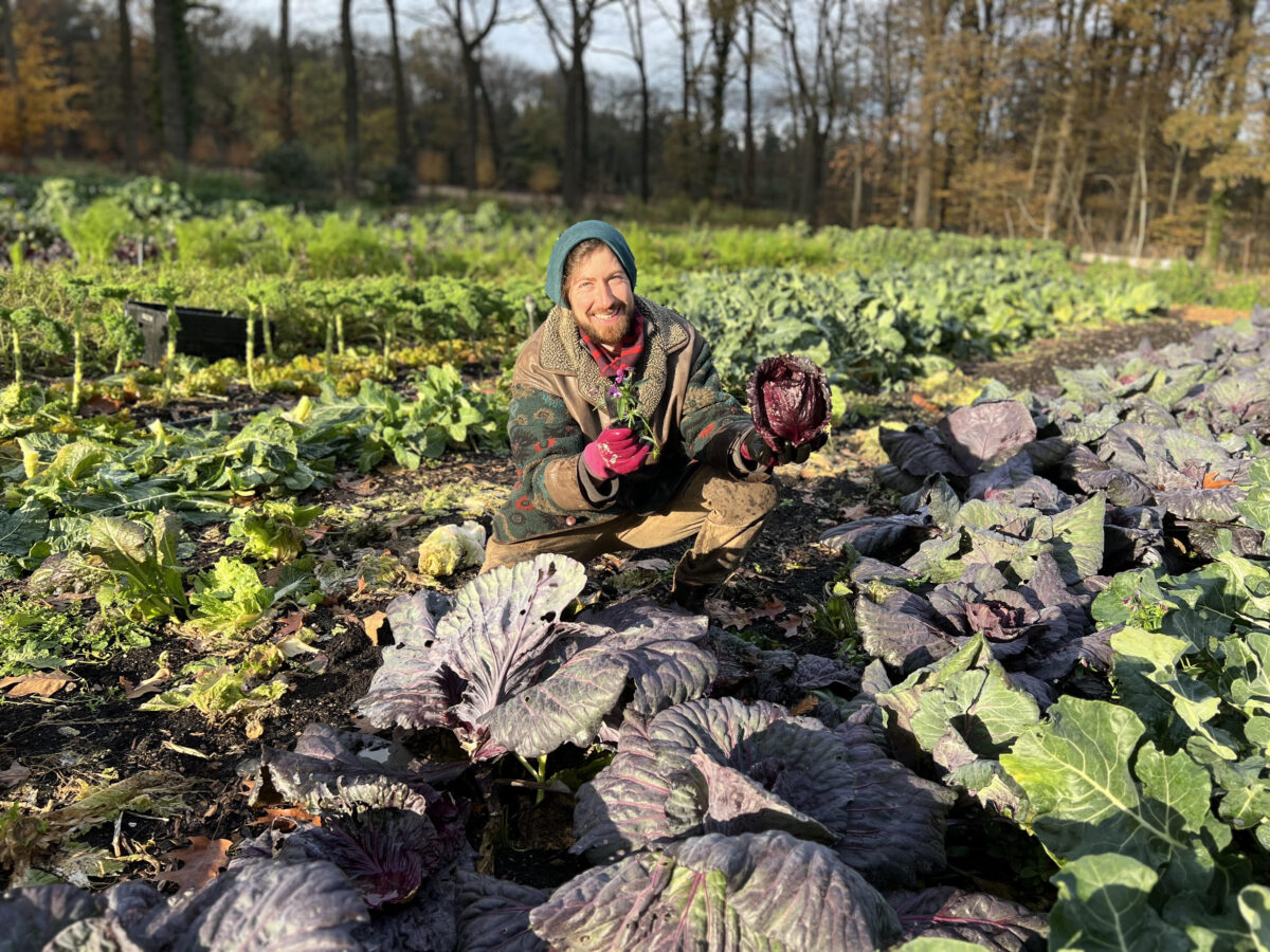 Bestel nu je groenteabonnement voor 2026!