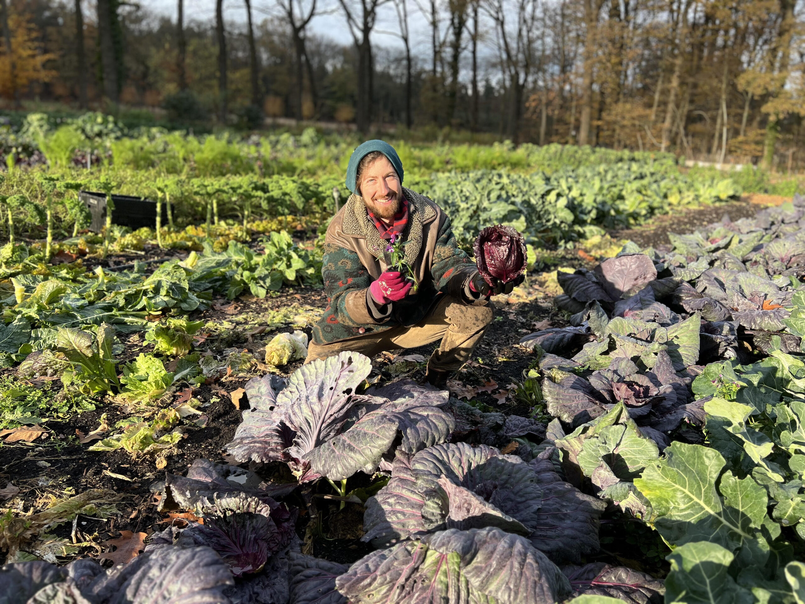 Bestel nu je groenteabonnement voor 2026!