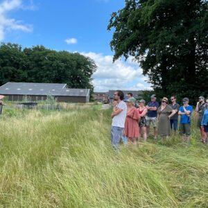 WhatsApp Image 2025-07-12 at 05.18.08 (1) publieke rondleiding door Daan Houwers - 23 augustus